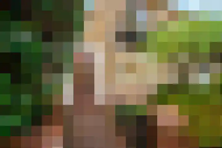 Antonius O.H. Tellegenlaan 20 Zeist thumbnail 34