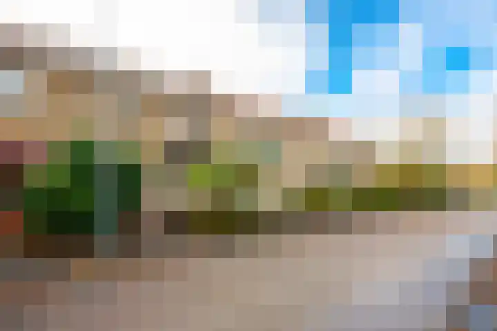 Antonius O.H. Tellegenlaan 20 Zeist thumbnail 35