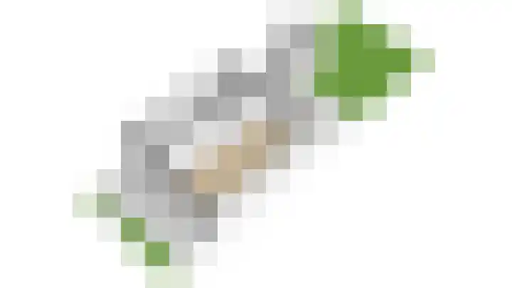 Antonius O.H. Tellegenlaan 20 Zeist thumbnail 42