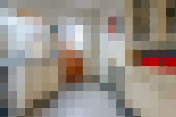 Antonius O.H. Tellegenlaan 20 Zeist thumbnail 9