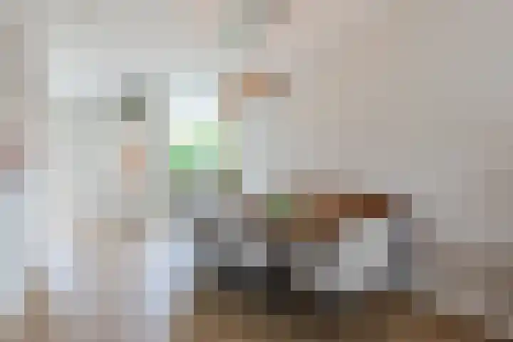 Antonius van Lieropstraat 2 Heeze thumbnail 11