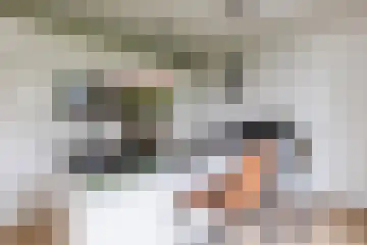 Antonius van Lieropstraat 2 Heeze thumbnail 13