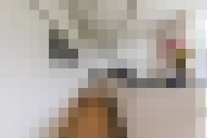 Antonius van Lieropstraat 2 Heeze thumbnail 14