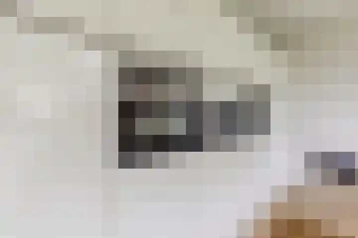 Antonius van Lieropstraat 2 Heeze thumbnail 15