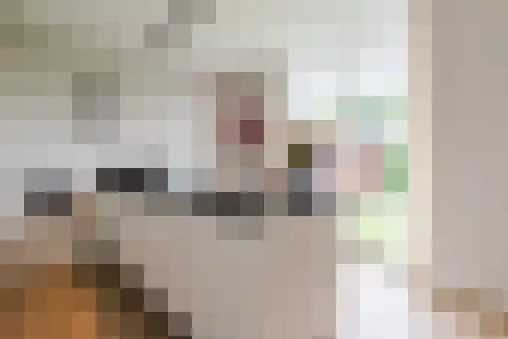 Antonius van Lieropstraat 2 Heeze thumbnail 16