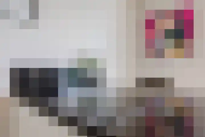 Antonius van Lieropstraat 2 Heeze thumbnail 17