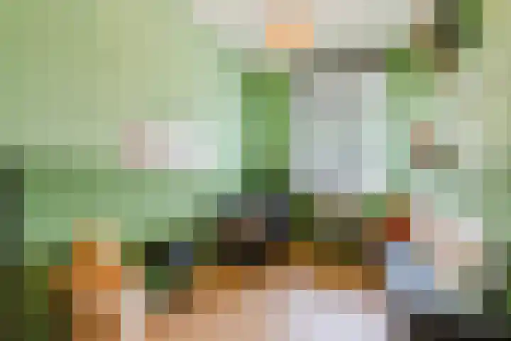 Antonius van Lieropstraat 2 Heeze thumbnail 21