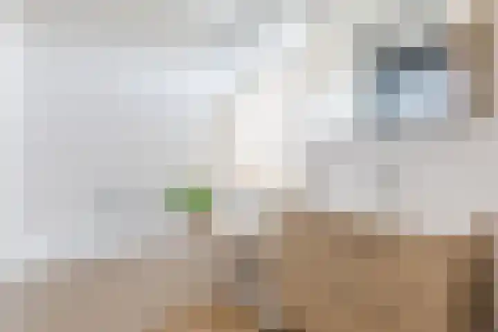 Antonius van Lieropstraat 2 Heeze thumbnail 22