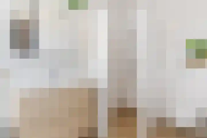 Antonius van Lieropstraat 2 Heeze thumbnail 23