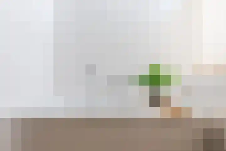 Antonius van Lieropstraat 2 Heeze thumbnail 25
