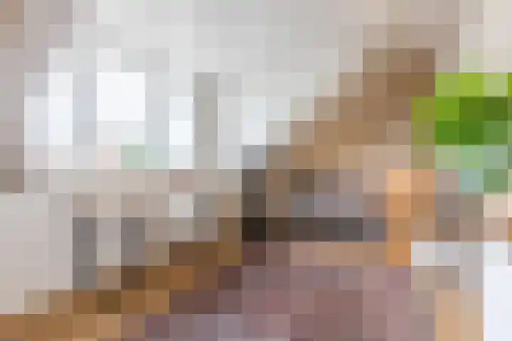 Antonius van Lieropstraat 2 Heeze thumbnail 28