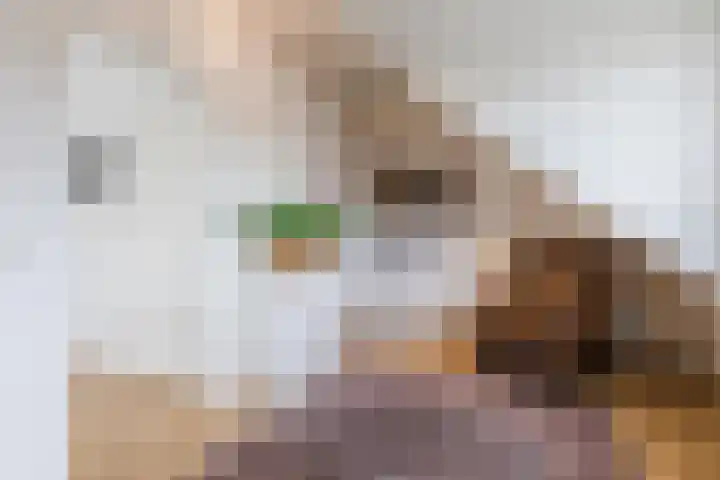 Antonius van Lieropstraat 2 Heeze thumbnail 29