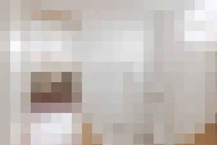 Antonius van Lieropstraat 2 Heeze thumbnail 31