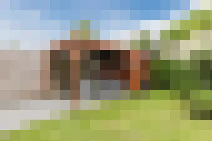 Antonius van Lieropstraat 2 Heeze thumbnail 32
