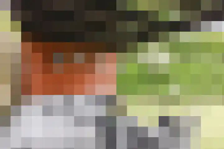 Antonius van Lieropstraat 2 Heeze thumbnail 33