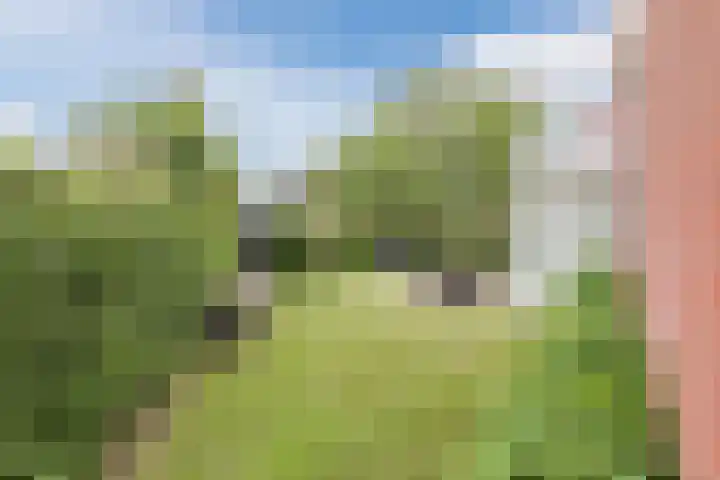 Antonius van Lieropstraat 2 Heeze thumbnail 34