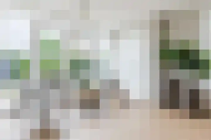 Antonius van Lieropstraat 2 Heeze thumbnail 9