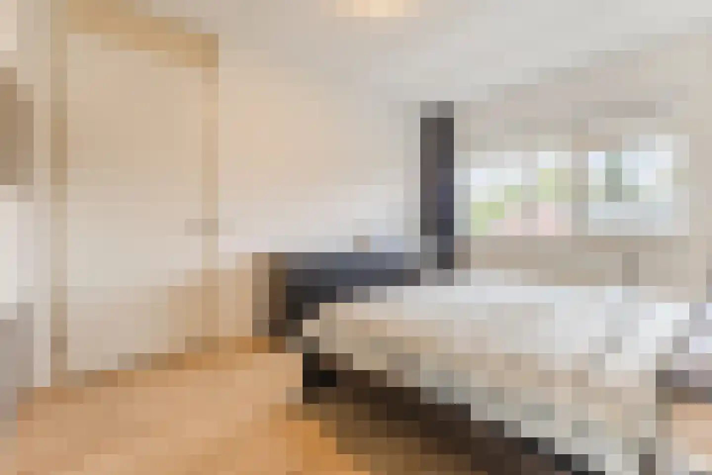 Antonius van Lieropstraat 21 Heeze thumbnail 18