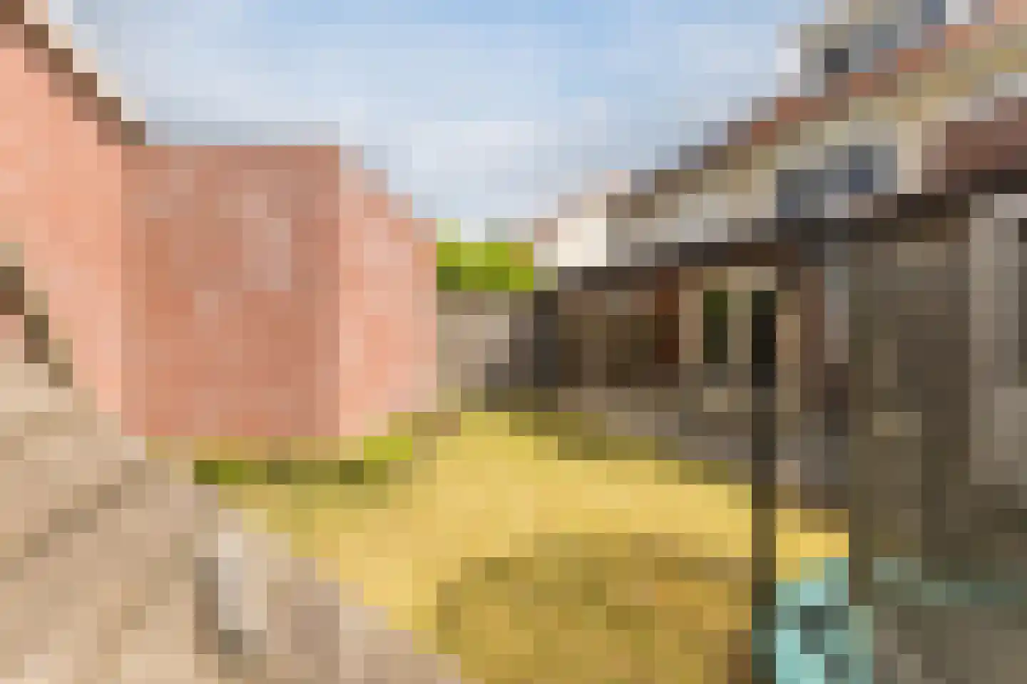 Antonius van Lieropstraat 21 Heeze thumbnail 30