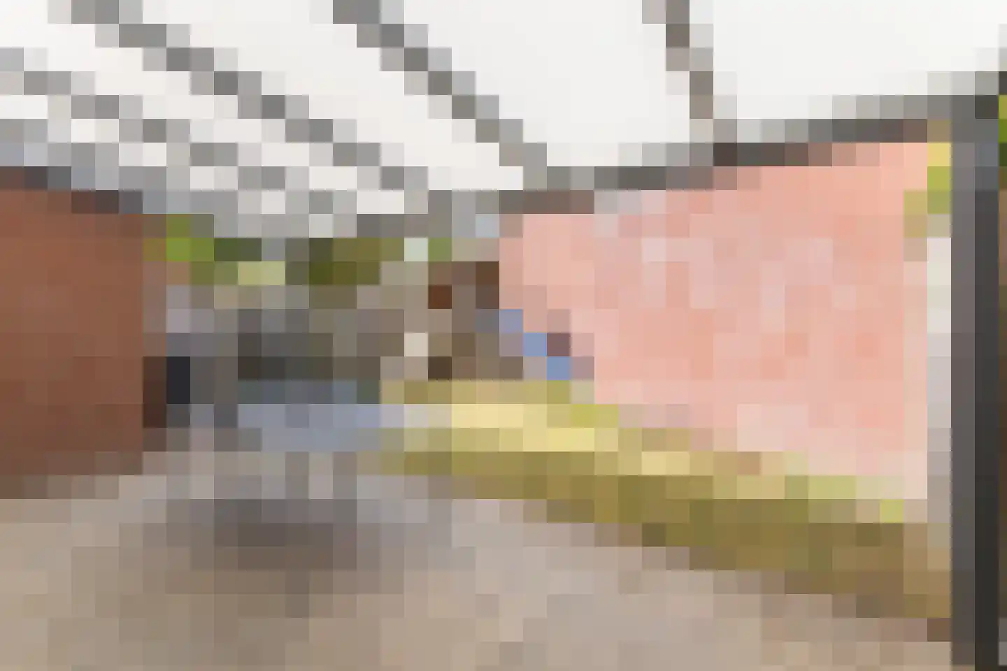 Antonius van Lieropstraat 21 Heeze thumbnail 31