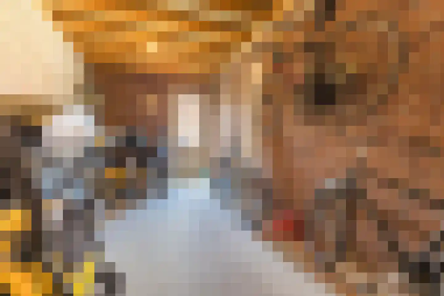 Antonius van Lieropstraat 21 Heeze thumbnail 34