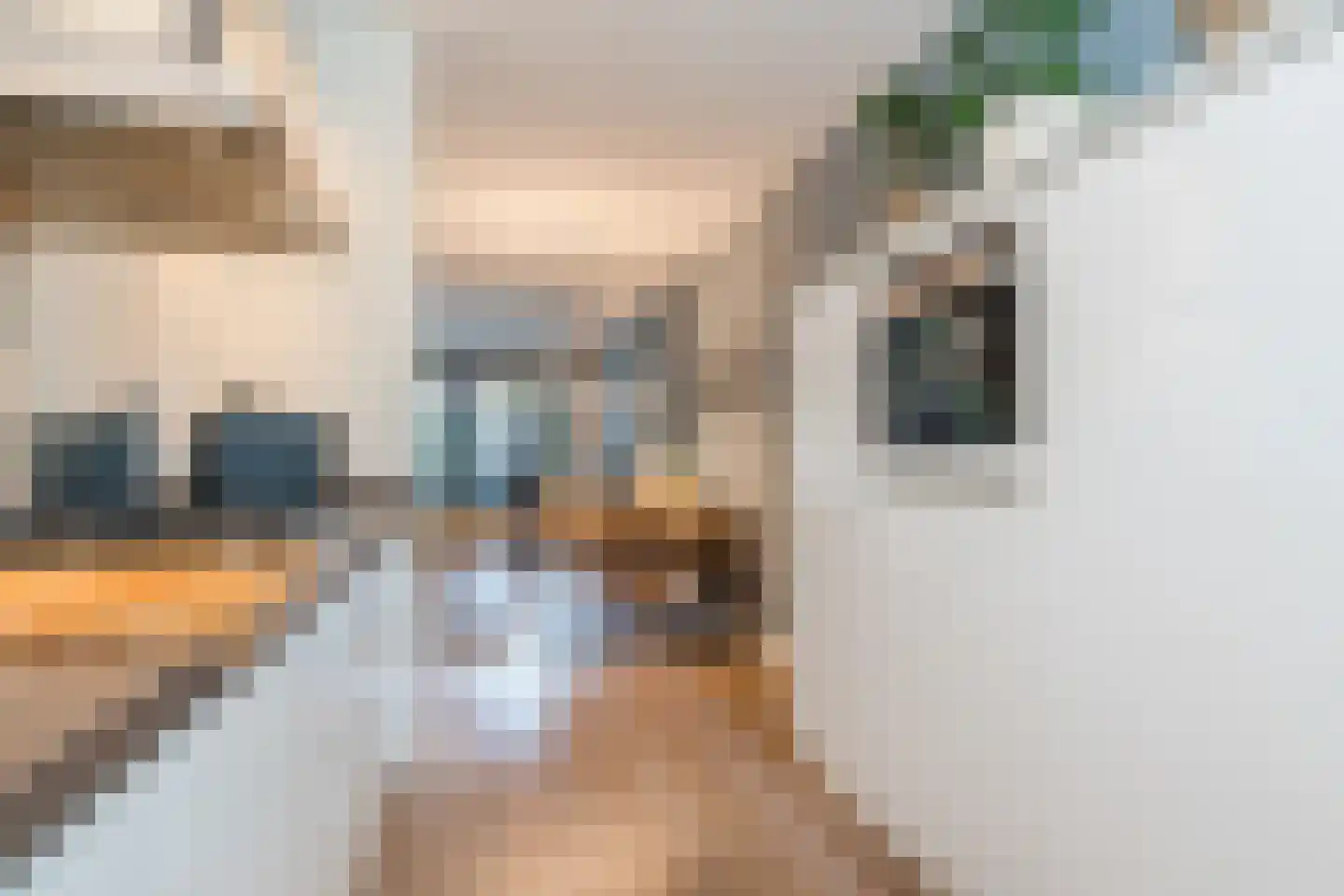 Antonius van Lieropstraat 29 Heeze thumbnail 29