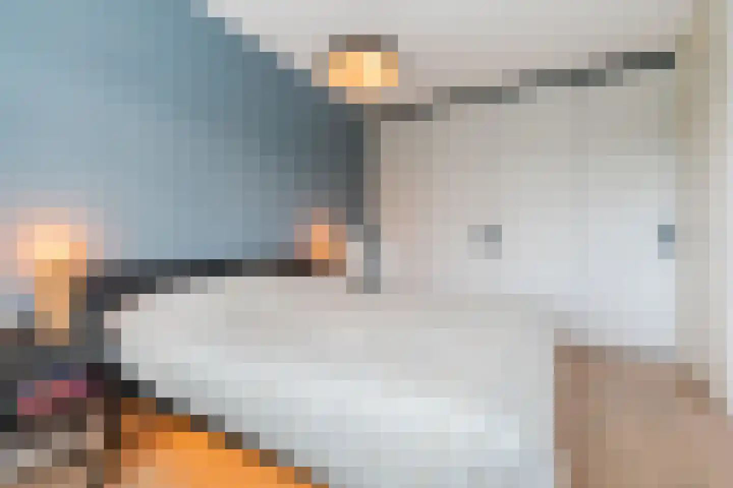 Antonius van Lieropstraat 29 Heeze thumbnail 32