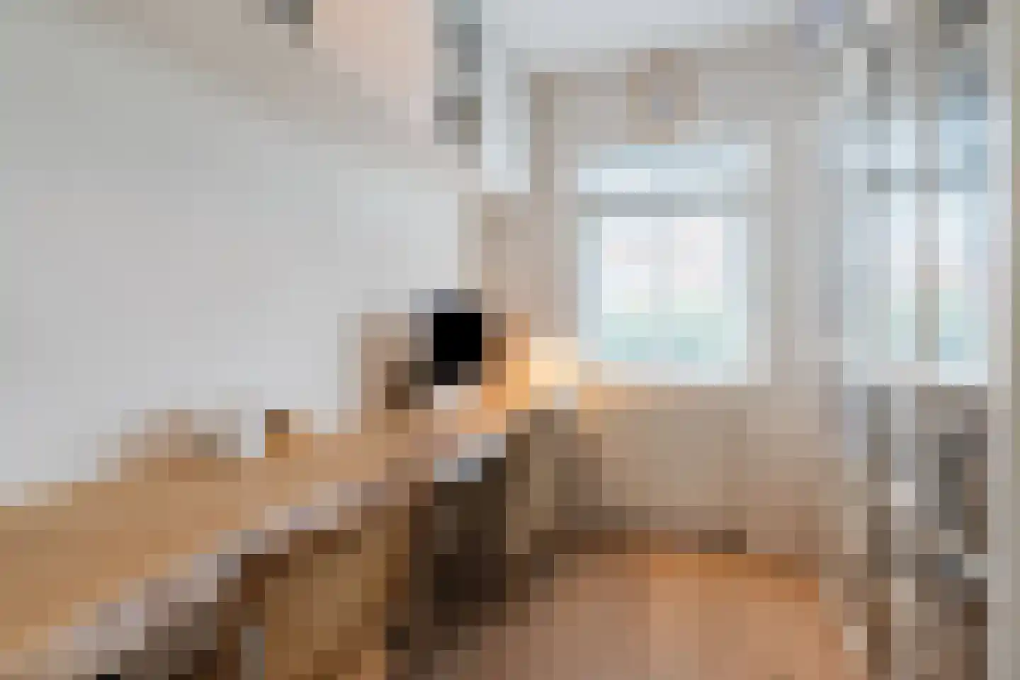 Antonius van Lieropstraat 29 Heeze thumbnail 39