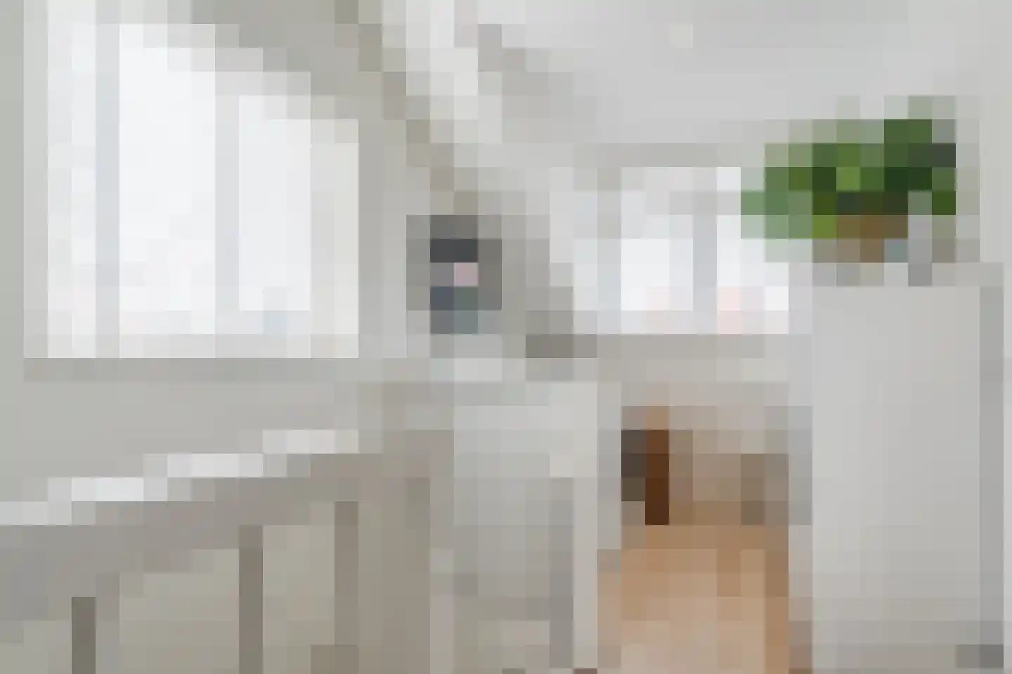 Antonius van Lieropstraat 29 Heeze thumbnail 41