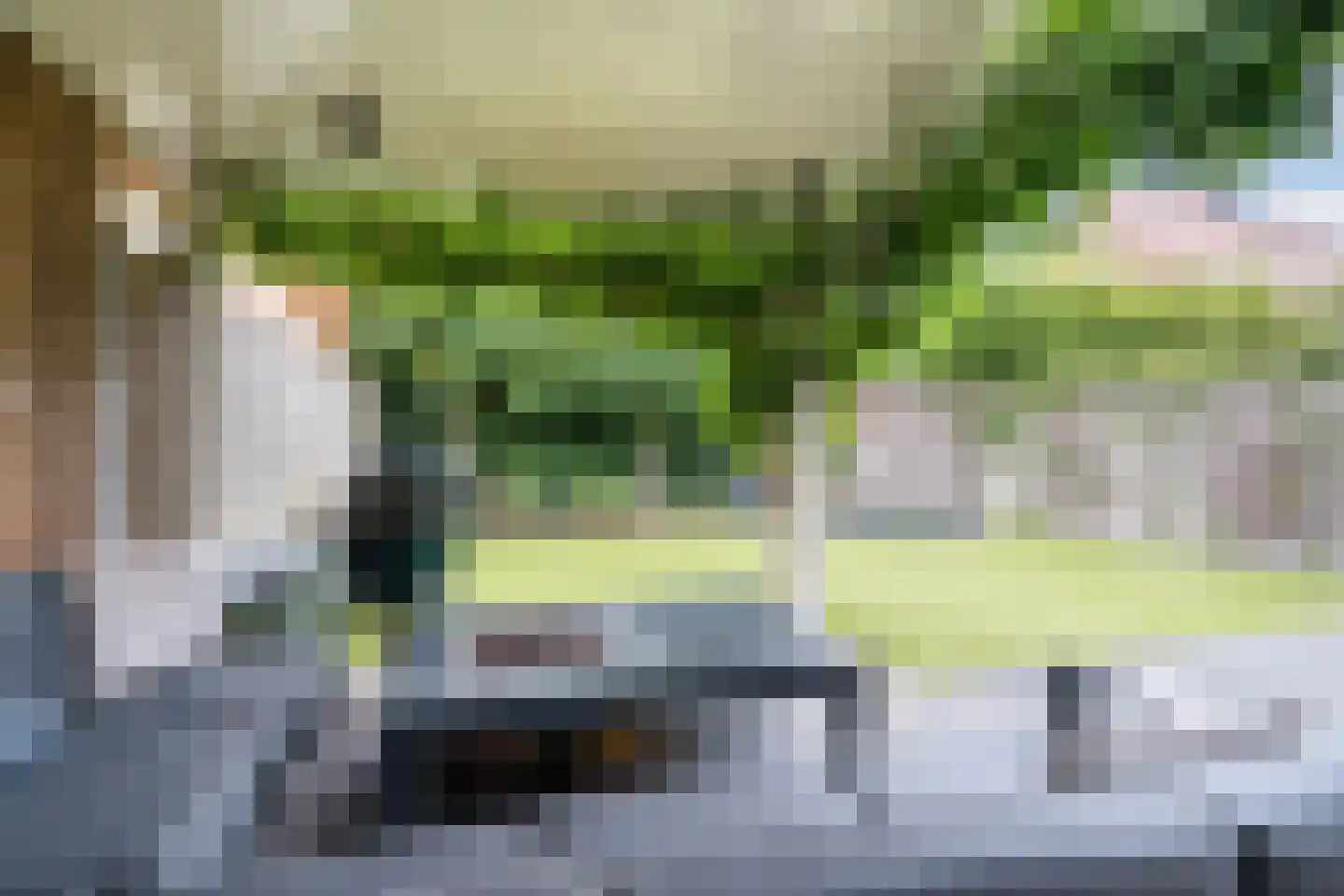 Antonius van Lieropstraat 29 Heeze thumbnail 48