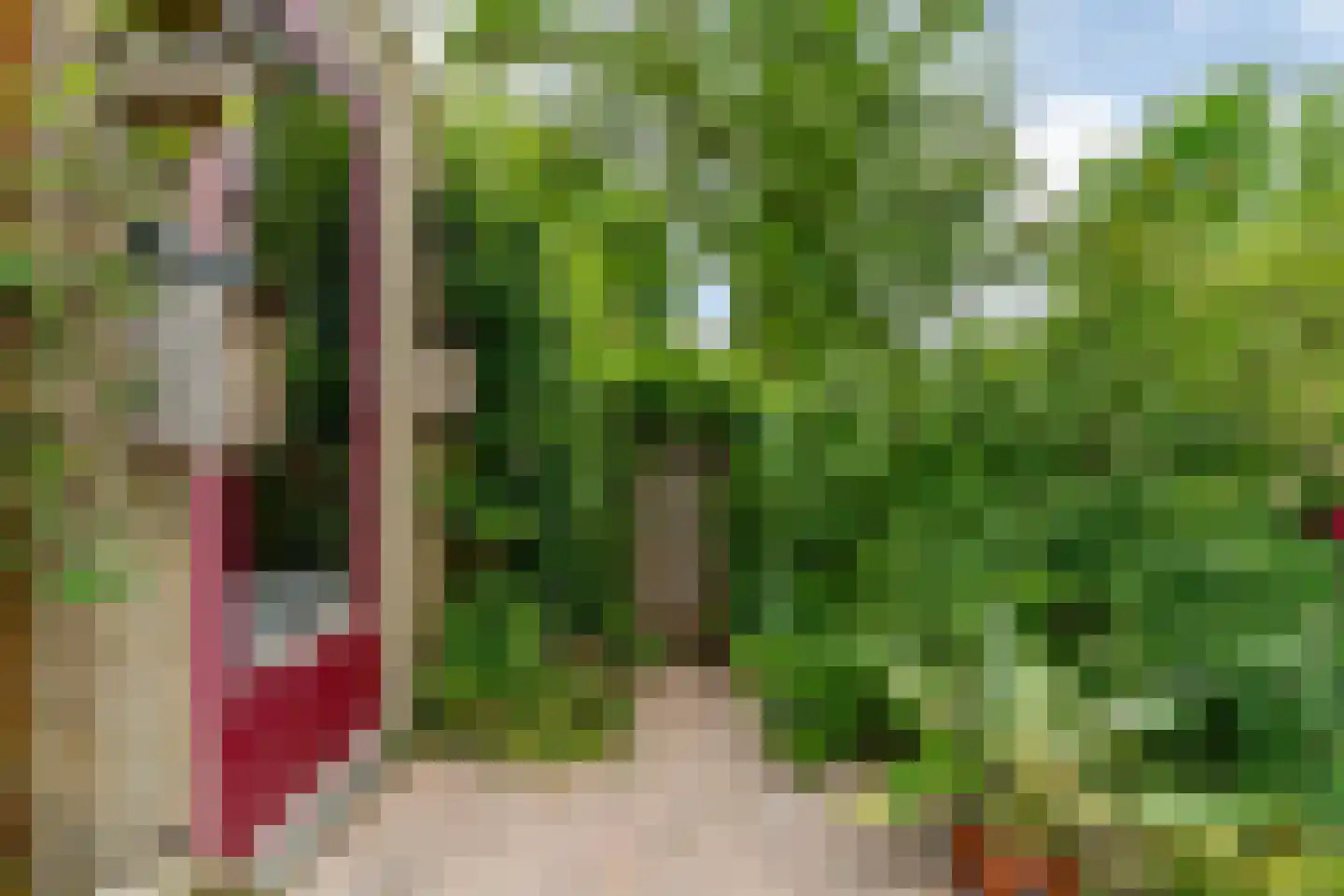 Antoniushof 11 Kudelstaart thumbnail 15