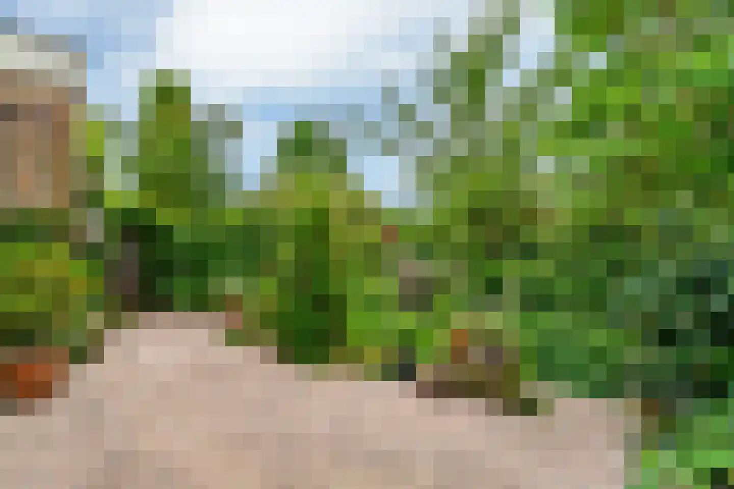 Antoniushof 11 Kudelstaart thumbnail 16