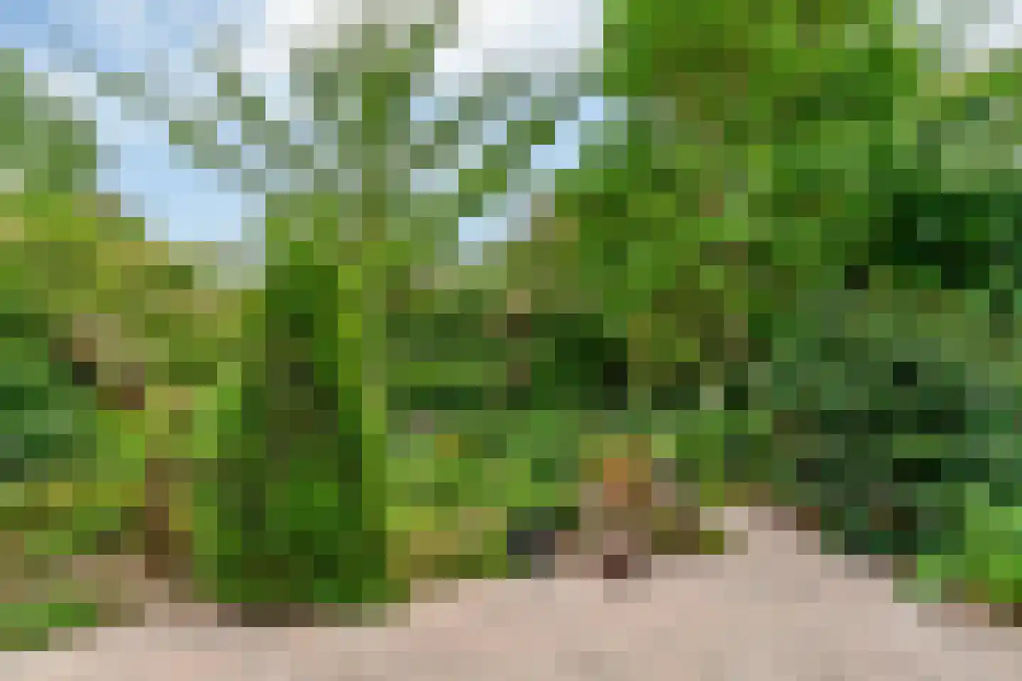 Antoniushof 11 Kudelstaart thumbnail 17