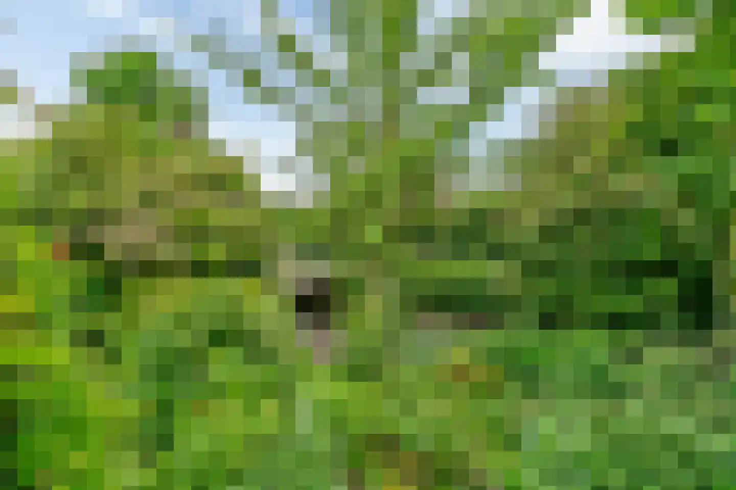 Antoniushof 11 Kudelstaart thumbnail 18