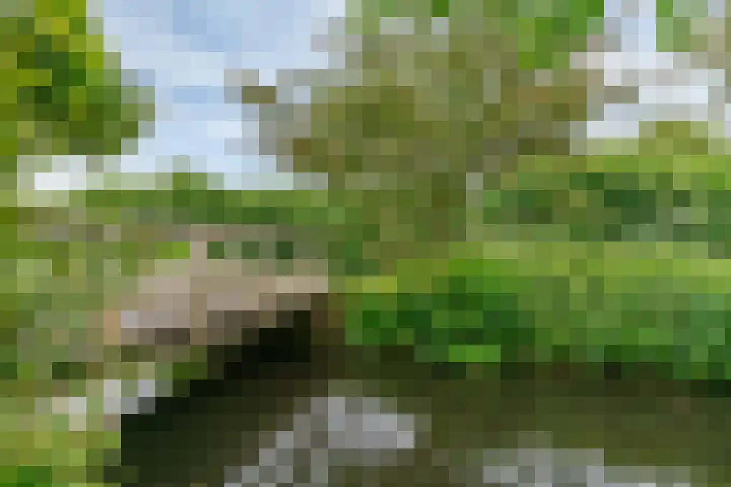 Antoniushof 11 Kudelstaart thumbnail 45