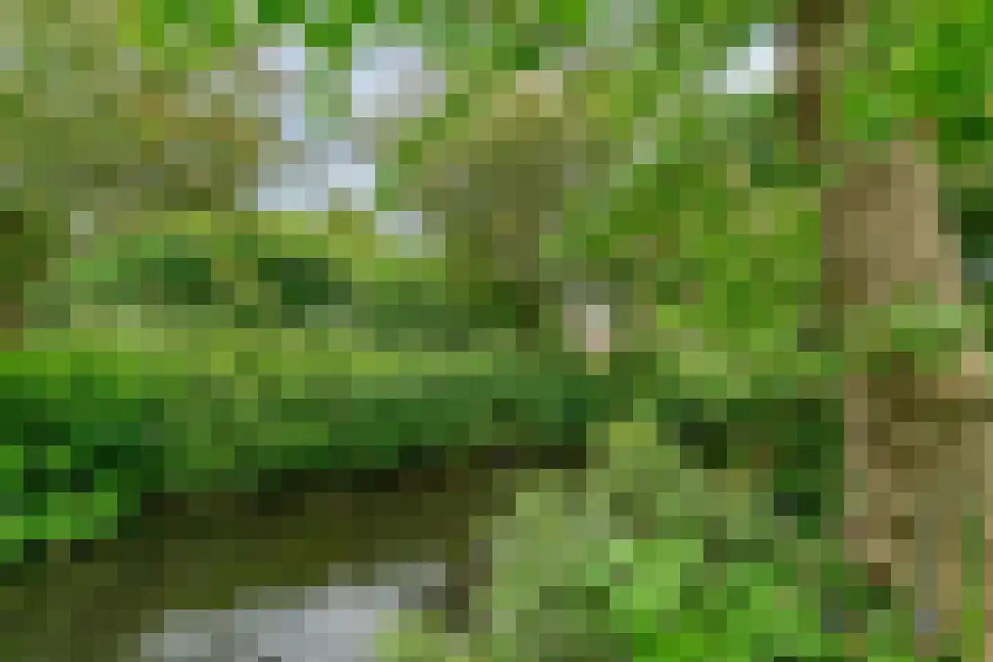 Antoniushof 11 Kudelstaart thumbnail 46