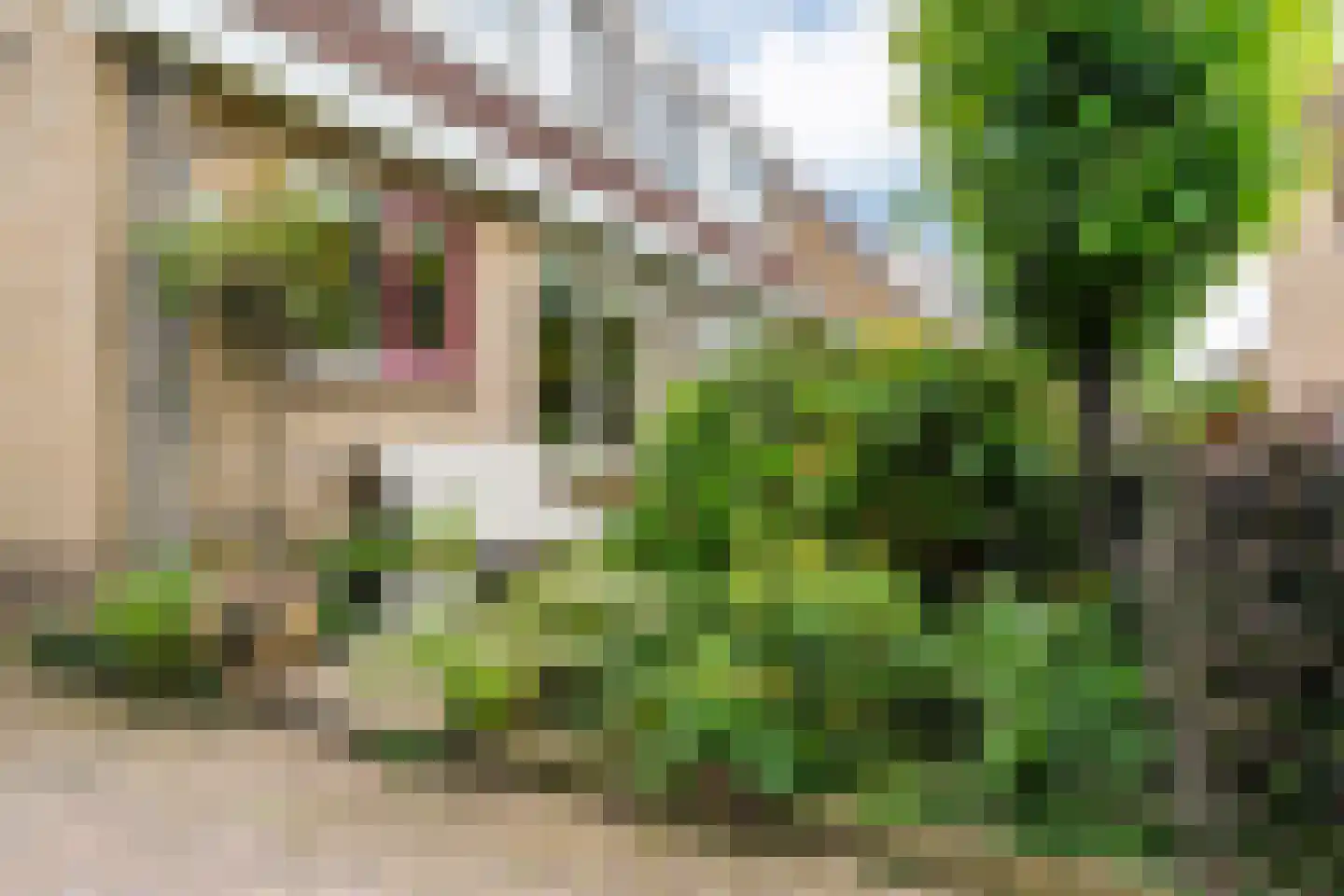 Antoniushof 11 Kudelstaart thumbnail 7