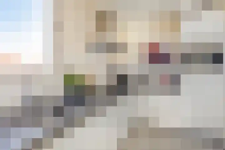 Antoniuslaan 104 Venlo thumbnail 17