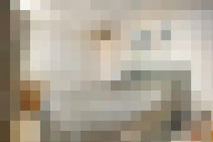 Antoniuslaan 104 Venlo thumbnail 20