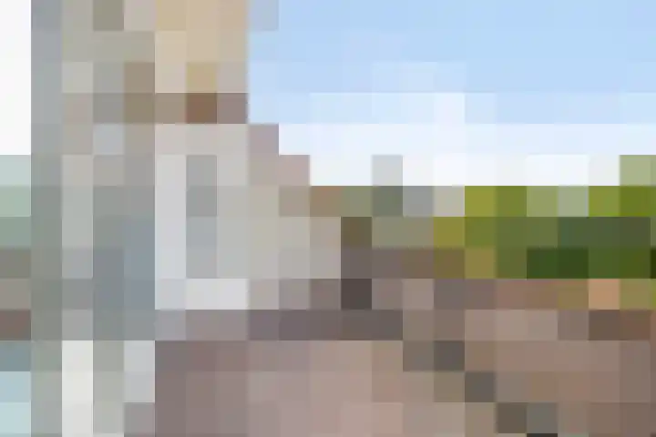 Antoniuslaan 104 Venlo thumbnail 25