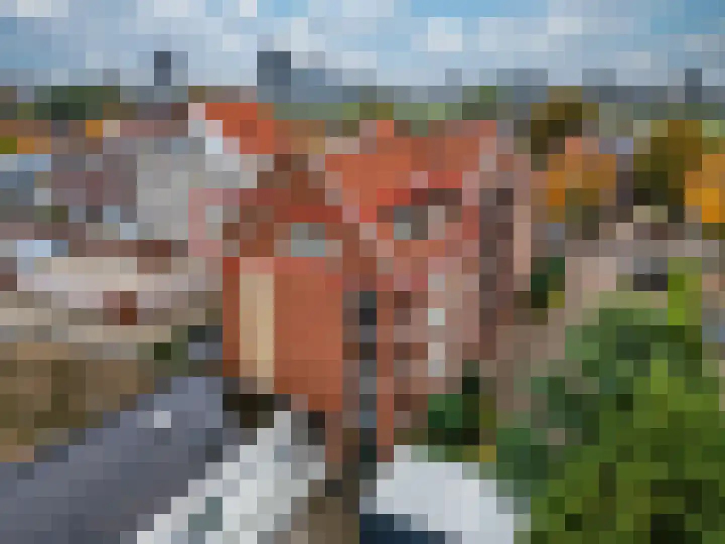 Antoniuslaan 124 Venlo thumbnail 42