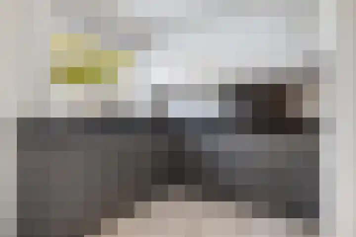 Antoniuslaan 13 Hendrik-Ido-Ambacht thumbnail 12
