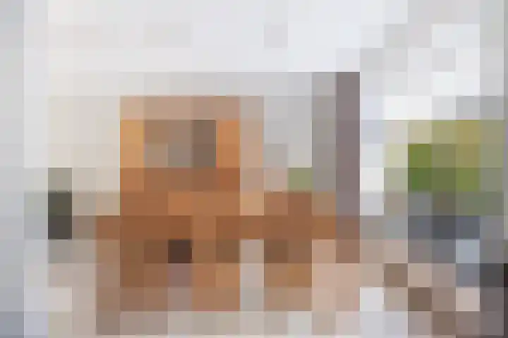 Antoniuslaan 13 Hendrik-Ido-Ambacht thumbnail 14