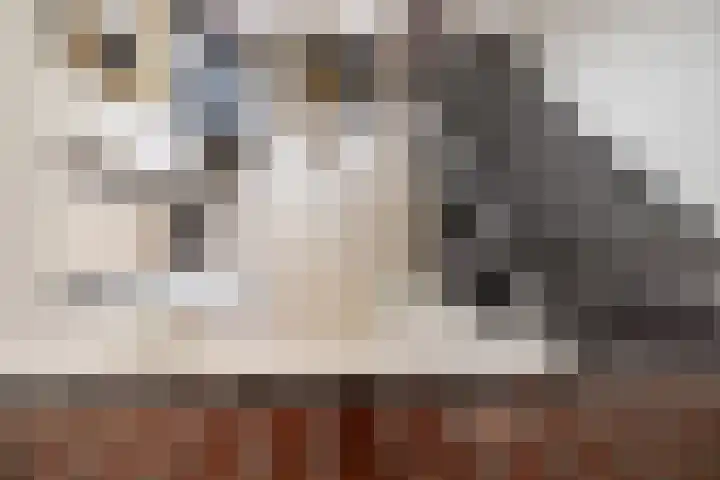 Antoniuslaan 13 Hendrik-Ido-Ambacht thumbnail 15