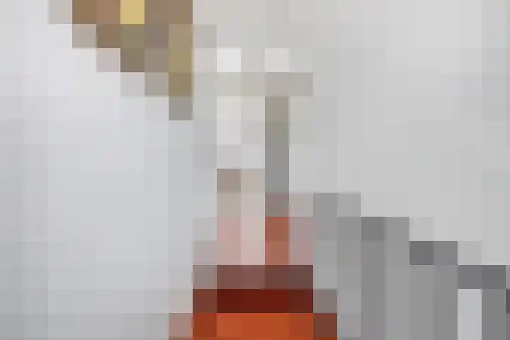 Antoniuslaan 13 Hendrik-Ido-Ambacht thumbnail 18