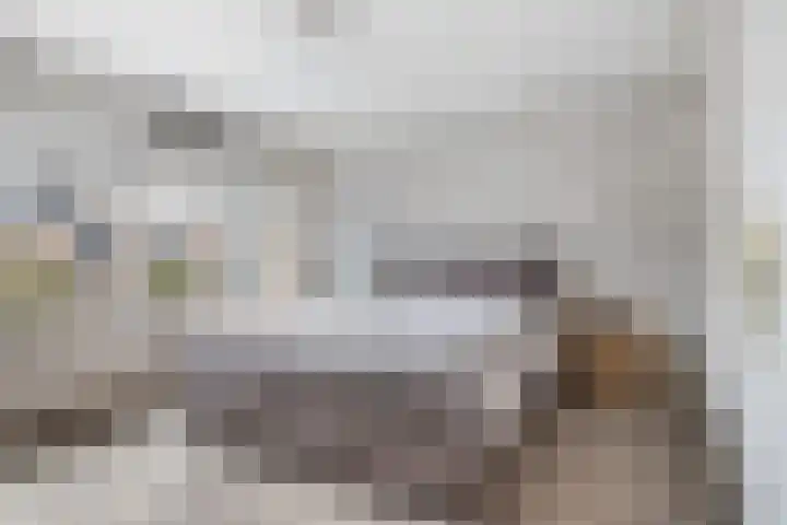 Antoniuslaan 13 Hendrik-Ido-Ambacht thumbnail 19