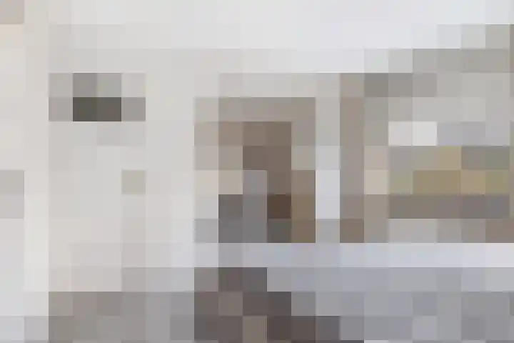 Antoniuslaan 13 Hendrik-Ido-Ambacht thumbnail 20