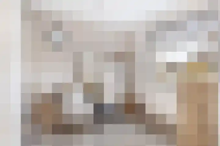 Antoniuslaan 13 Hendrik-Ido-Ambacht thumbnail 21