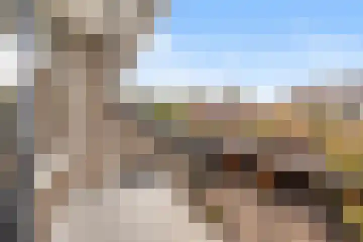 Antoniuslaan 13 Hendrik-Ido-Ambacht thumbnail 22