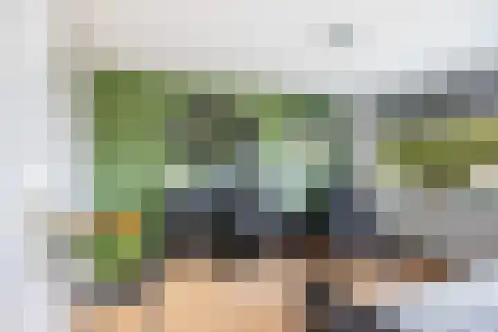 Antoniuslaan 13 Hendrik-Ido-Ambacht thumbnail 24